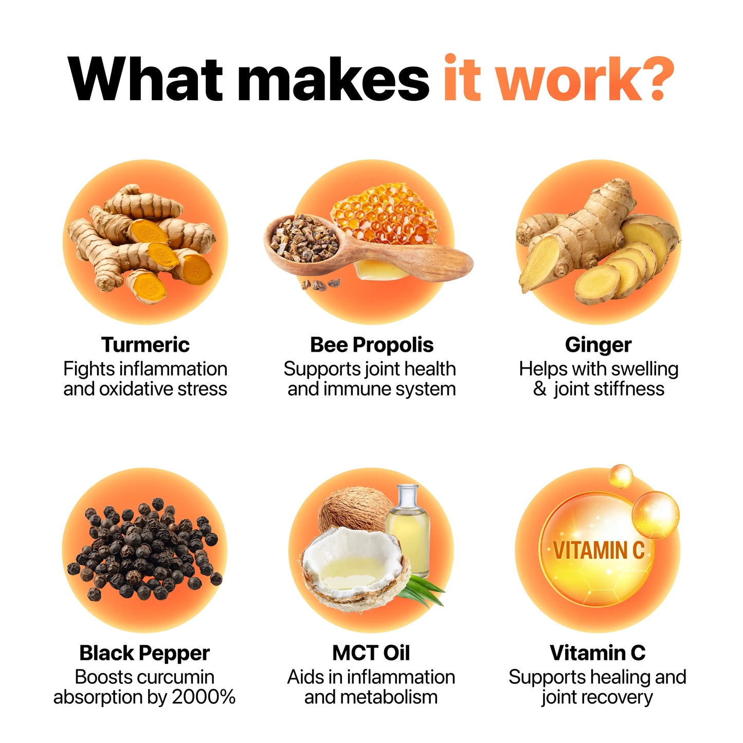 [ONE-TIME OFFER] Buy One, Get TWELVE FREE